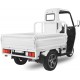 Triciclu electric Pick-UP (TUK-TUK) 