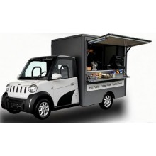 Vehicule Electrice