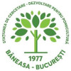 SCDP Băneasa