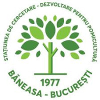 SCDP Băneasa